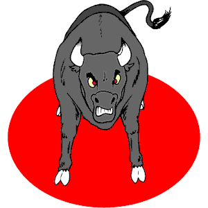 Bull 16