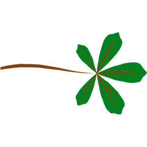 Palmate Leaf (5 lobed)