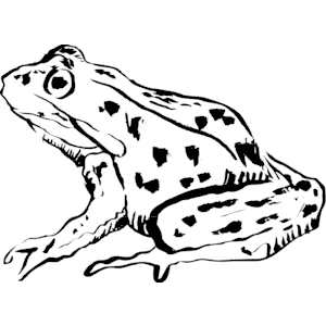 Frog 002 clipart, cliparts of Frog 002 free download (wmf, eps, emf