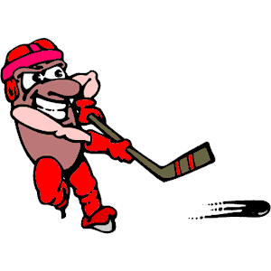 Hockey Player
