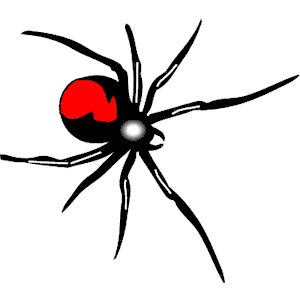 Spider Redback