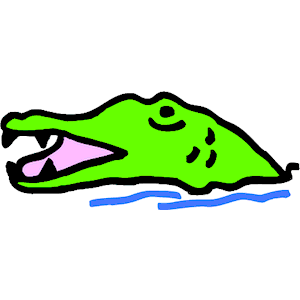 Alligator 12