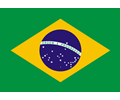flag of brazil rodrigo t1
