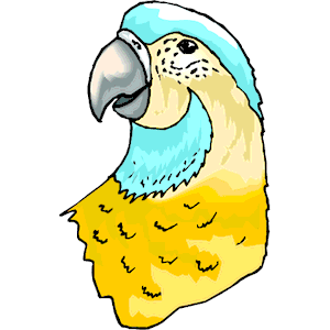 Parrot 18