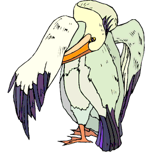 Pelican 07