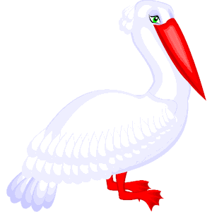 Pelican 06