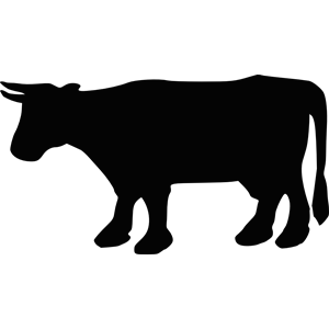 Cow Silhouette