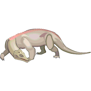 Protosuchus