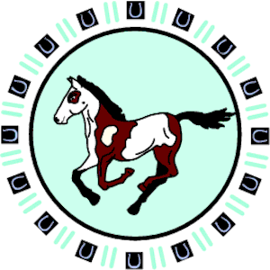 Pony Design