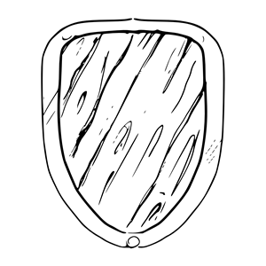 Shield 3