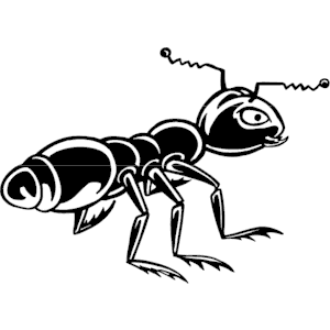 Ant 08