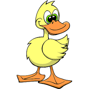 Duck 009