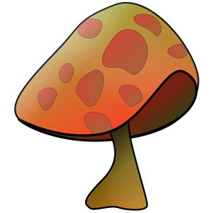 mushroom benji park