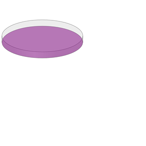 Purple Petri Dish Open
