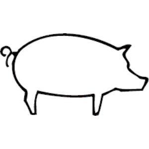 Pig 02
