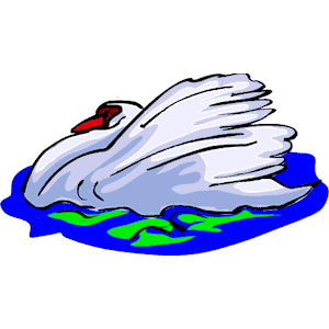 Swan 14