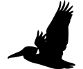 tn_Flying_Pelican_Silhouette.png