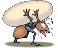 Ant Carrying Egg