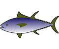 Thunfish