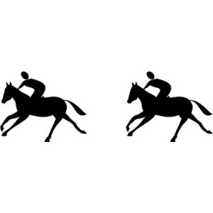 Horses & Riders