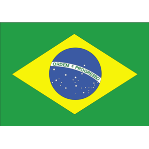 brazil flag rob lucas 01