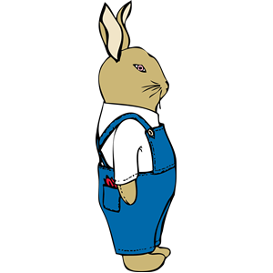 bunny in overalls