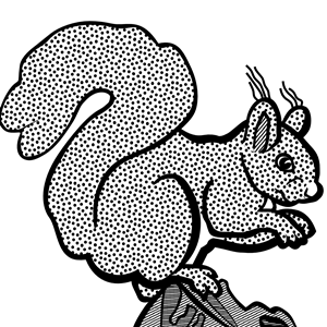 squirrel - lineart