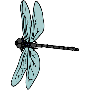 Dragonfly 006