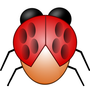 Robotic Ladybug
