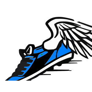 Blue Winged Shoe
