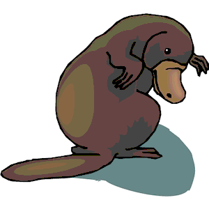  Platypus