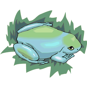 Frog 09
