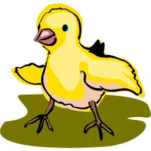 Chick 06