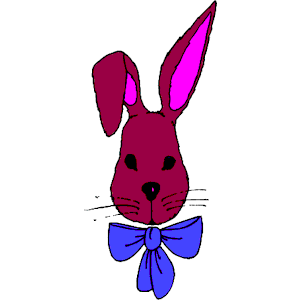 Bunny 21