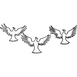 Three doves