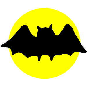 Bat 13