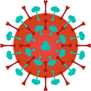 Flu Virus