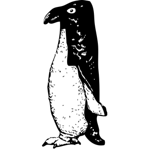 funky penguin