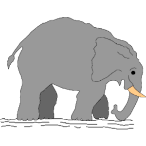 Elephant 01