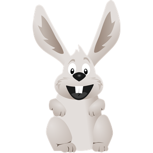 funny Rabbit