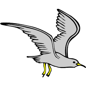 Seagull 10