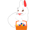 Bunny 07