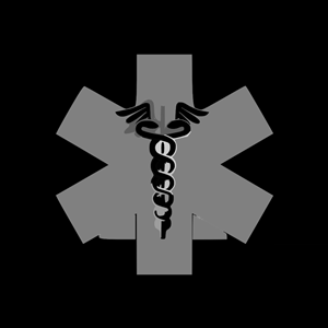 Nurse Logo Black Gray