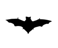 Bat contour