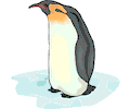 Penguin 15