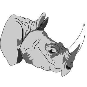 Architetto -- rhinoceros 1