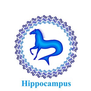 Hippocampus #dailysketch