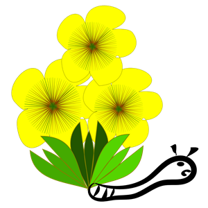 a flor amarela e a lagarta