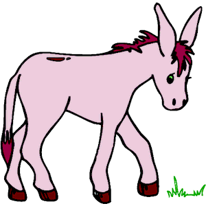 Donkey 11