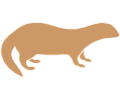 Mongoose 1